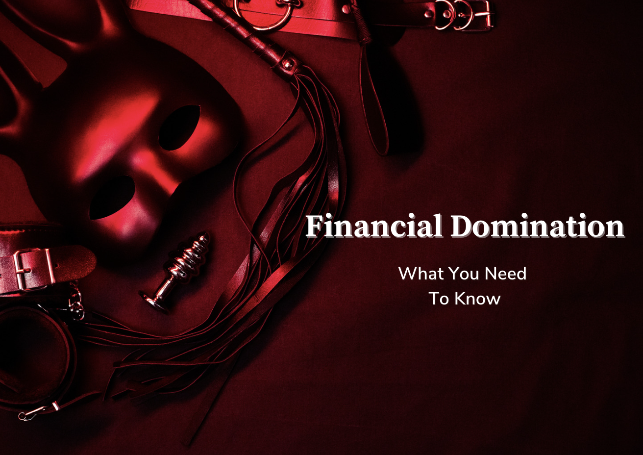 The Ultimate FINDOM Guide (Financial Domination)