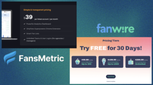 OnlyFans CRM Tools: Fansmetric Vs. Fanwire | fanscribers.com