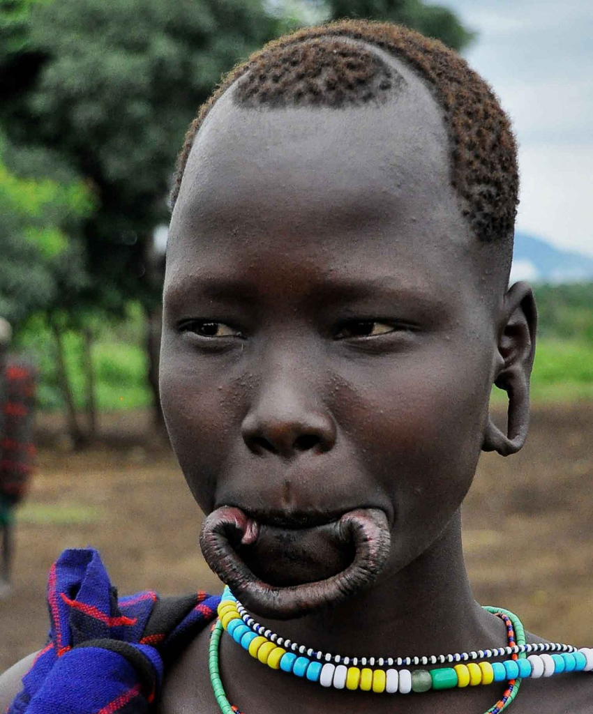 Lip Plates of the Surma People African  no plate